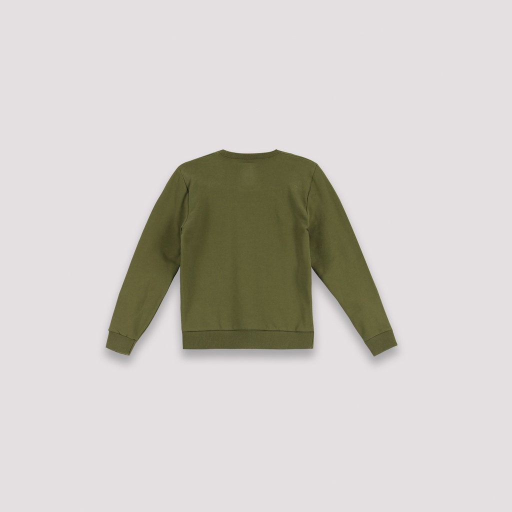 Sweat garçon avec broderie