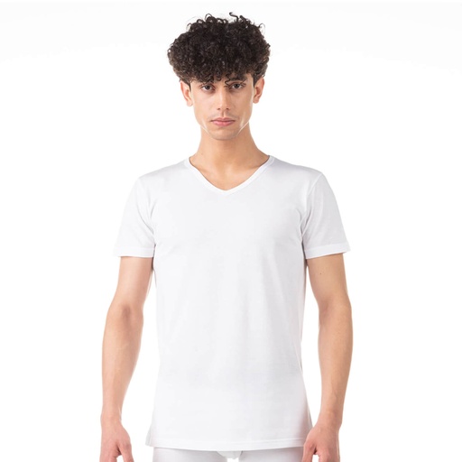 [05-010-02-120-K000-L] T-shirt col v homme en coton bio (L)