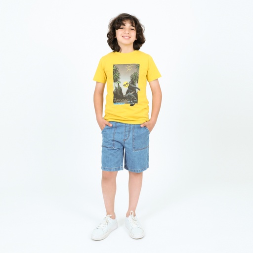 [05-010-02-443-K033-10A] T-shirt garçon manches courtes SKATE BOARD (Jaune, 10A)