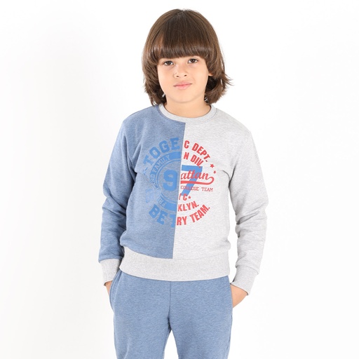 [05-010-36-054-K697-10A] Sweat garçon bi couleur FRIENDS AND FAMILY (10A)