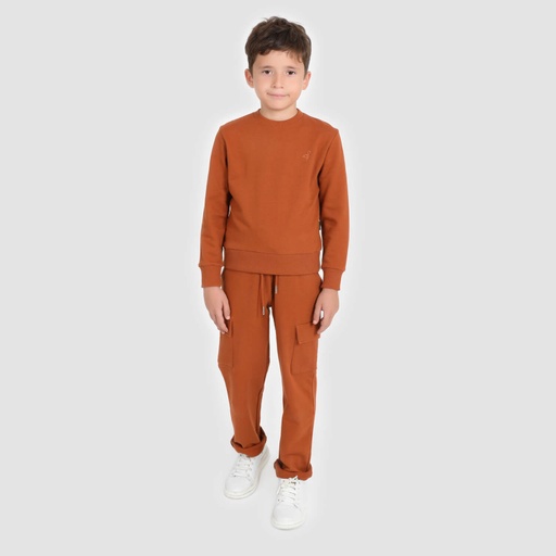 [05-010-36-115-K669-10/12A] Sweat garçon avec broderie (Camel, 10/12A)