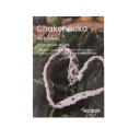 Carte postal kontakt CHAKCHOUKA